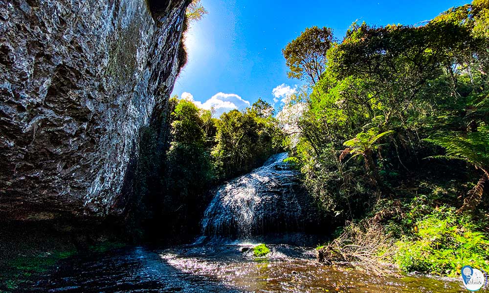 São Francisco de Paula com passeio gratuito