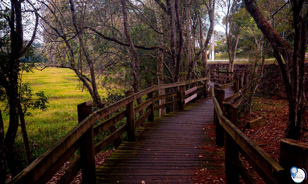 Parque da Barragem 