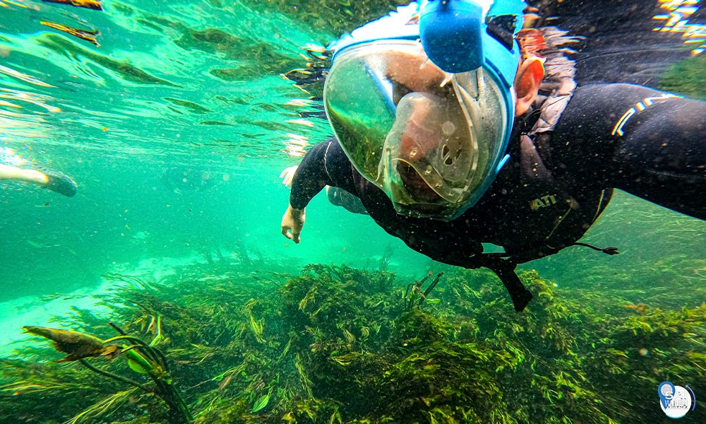flutuação rio sucuri em bonito-Ms