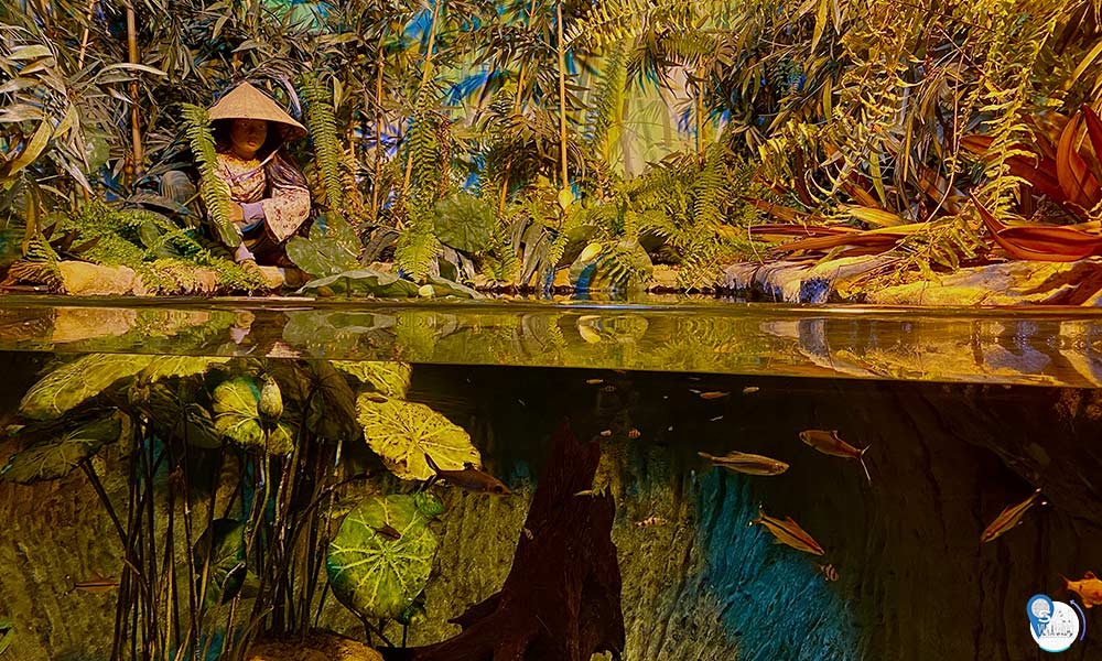 cenário da Ásia no bioparque pantanal